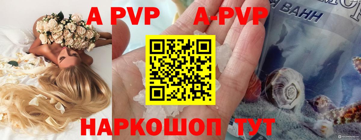 A PVP СК КРИС Нижний Новгород