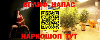 стаф Сланцы