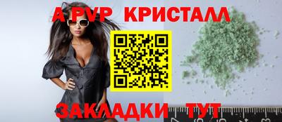 стаф Сланцы