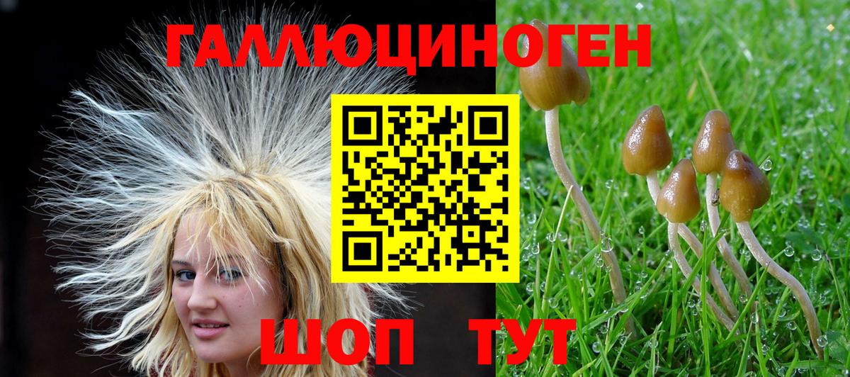 Галлюциногенные грибы Psilocybe  Галлюциногенные грибы Magic Shrooms  Вход с VPN  Нижний Новгород 